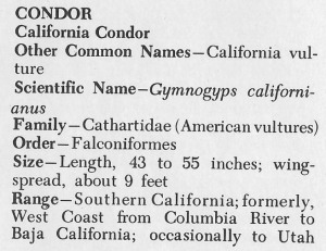 02b Audubon 1965 - data